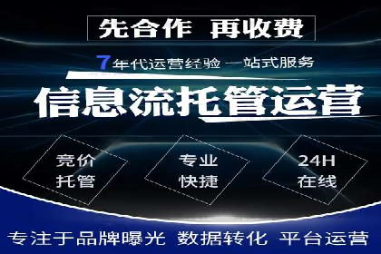 百度SEO推广公司经典之作：打造行业领先品牌